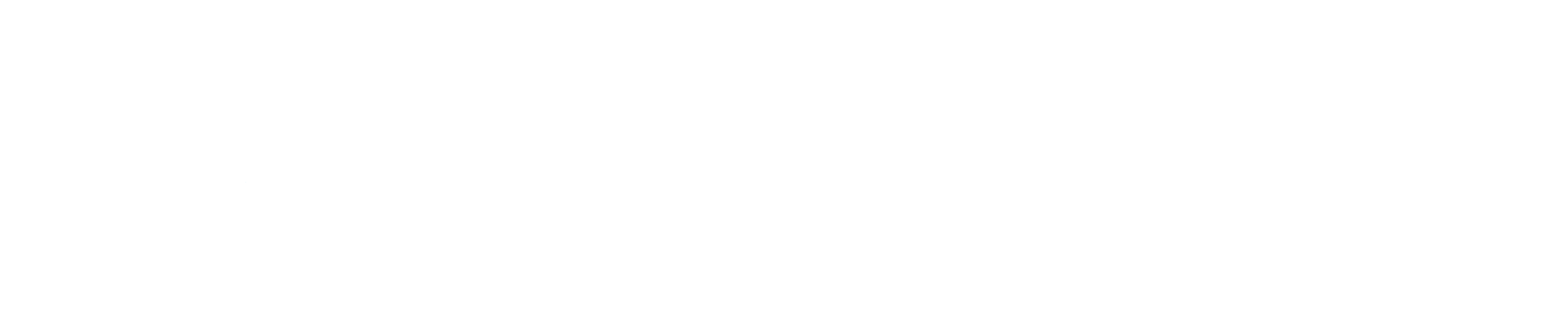 SaarEnergies Logo